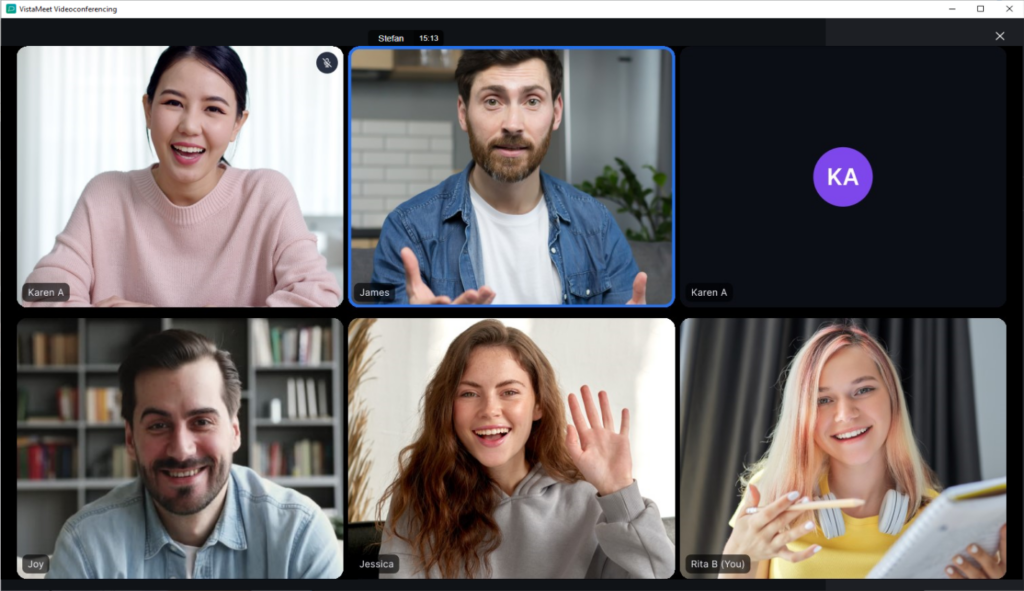 VistaMeet conference screen 6 attendees